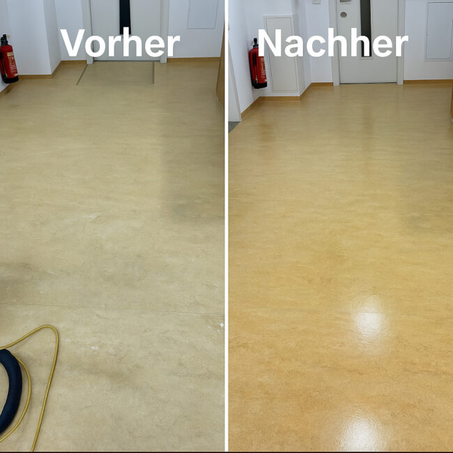 Bodenpflege Linoleum | Agata Group