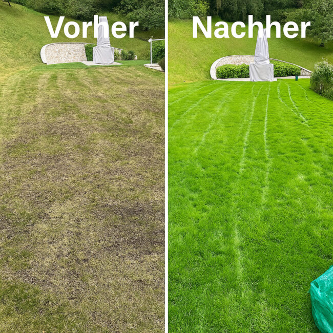 Voher-Nachher Gartenpflege | Agata Group