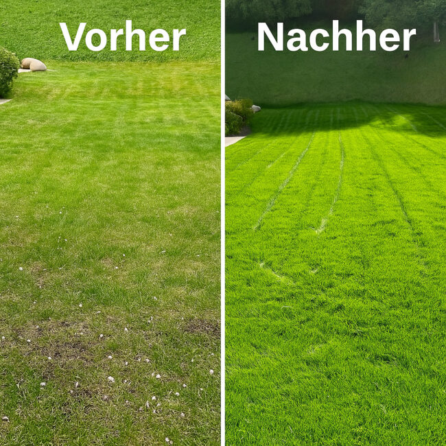 Voher-Nachher Gartenpflege | Agata Group