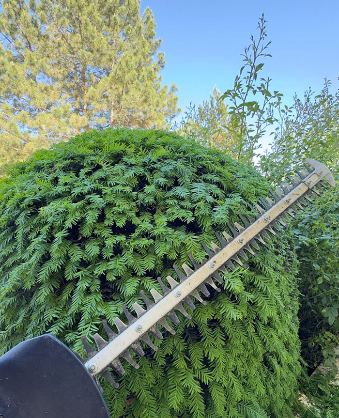 Gartenpflege